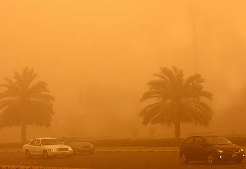 "المسند" يطالب بإنشاء غرف نقية بالمدارس مع هبوب العواصف الرملية