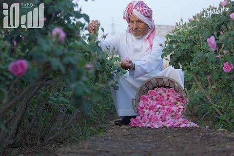 جدل علي "تويتر" بعد الإعلان عن انطلاق مهرجان الورد بمنتزه خاص