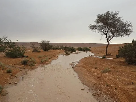 بالصور.. "عالية" تسجل حضورها بالقصيم ومحافظات شمال الرياض