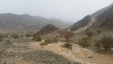 شاهد.. "عالية" تهطل على المدينة وتتسبب في جريان الأودية والشعاب