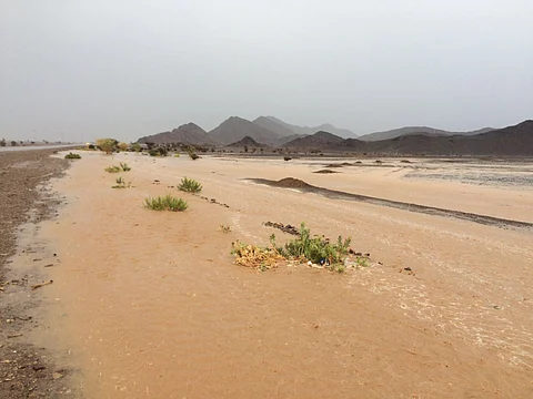 شاهد.. الأمطار والسيول على محافظات جنوب المدينة