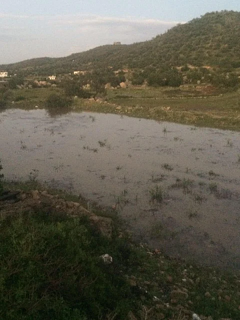 بالصور.. استمرار هطول الأمطار على "بني مالك" بجنوب الطائف