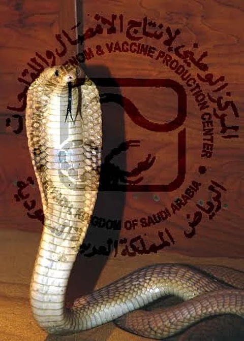 الأحيدب: إعلانات شركات المبيدات تدليس.. وعلى "التجارة" إيقاف مهزلة أكل أموال الناس بالباطل