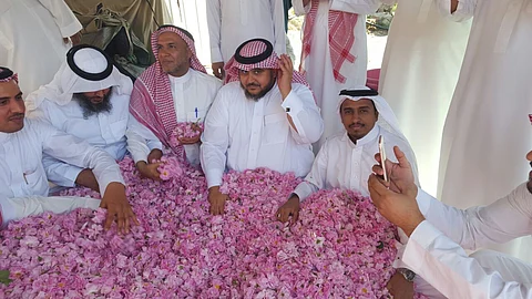 منسوبو مدارس مكة يزورون مصانع الورد بالطائف: إنها "بستان المنطقة"