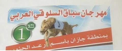 إيقاف مهرجان رعد الجنوب للسلوق.. والمنظمون: نعتذر نحن شباب مندفع