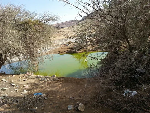 أهالي "هداده": أنقذونا من اختلاط "الصرف الصحي" بمياه الآبار