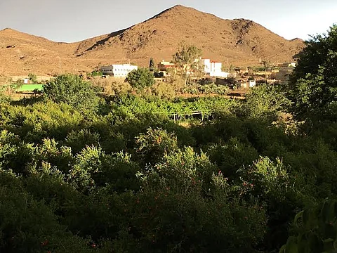 "الحميدي" يقف على أول مزرعة سياحية في أبها.. تضم بيتاً عمره قرن ونصف