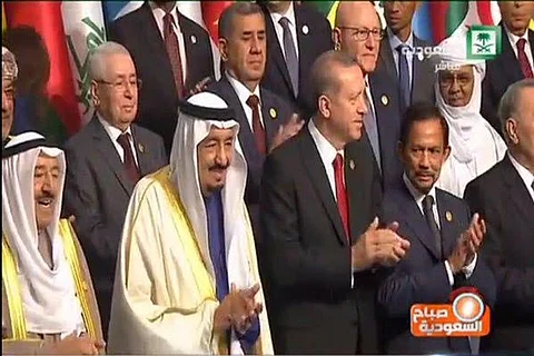 بمشاركة خادم الحرمين.. قمة إسطنبول تنطلق وفلسطين تتصدر أجندتها