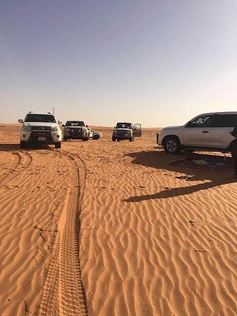 بحث مكثف عن راعي إبل مفقود برفحاء.. قال في آخر اتصال: أريد شرب الماء