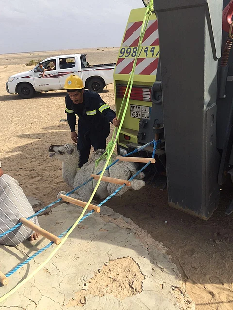 شاهد.. انتشال "حاشي" سقط في بئر جنوب ظلم بالطائف