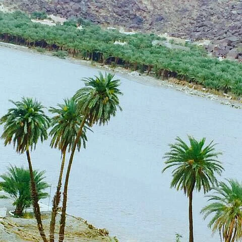فيديو.. مسن في وادي ترج يلوح بيديه لذويه تعبيرًا عن فرحه باجتياز الوادي