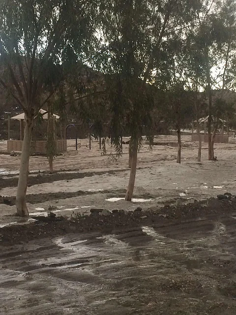 وادي ليه يكسوه البياض بعد أمطار بردية يشهدها اليوم جنوب الطائف