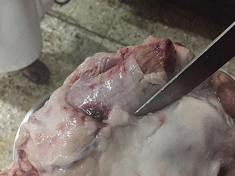 شاهد.. إتلاف ذبيحة مصابة بـ"الجدري والديدان" قبل تناولها بالطائف