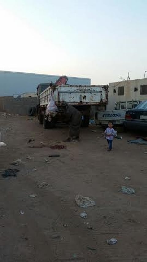 بالصور.. موظف بـ"أمانة الشمالية" يكتشف وافدًا يسلخ الأغنام بطريقة غير نظامية