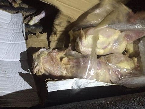 جدة.. إحباط توزيع 42 طناً من الدجاج الفاسد في الأسواق