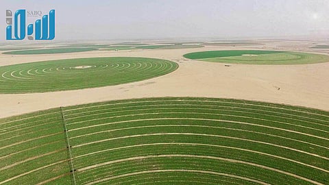 بالفيديو.. "سبق" ترصد من الجو أرض الحبحب وسط مزارع "وادي الدواسر"
