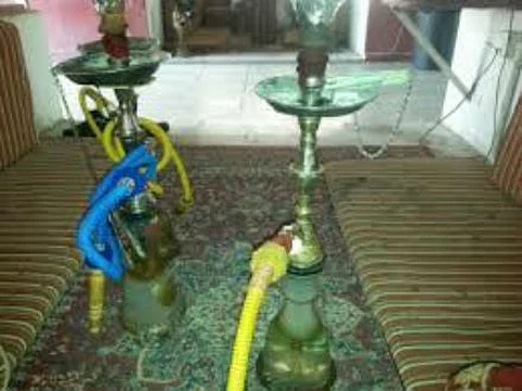 "بلدي الرياض" يطالب بإيقاف مقاهي المعسل والمسالخ العشوائية