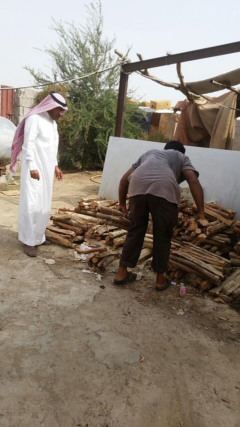 لجنة تصادر كميات كبيرة من الحطب في الدرب بجازان