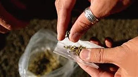 الحقوقية "أبو طه" : الدواعش تعرضوا لعمليات فيه تغييب عقلي بالمخدرات والسحر