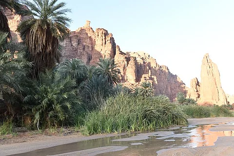 الجبال والصحاري.. لوحات طبيعية تعانق قوافل التميز بمسارات تبوك السياحية