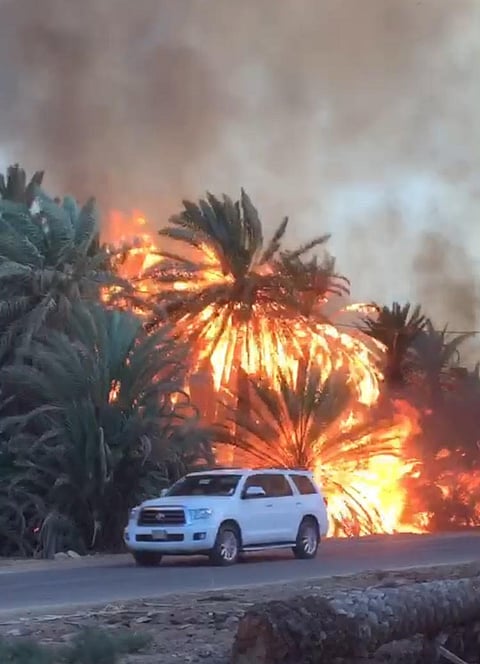 شاهد.. اشتعال النيران في بساتين نخيل دومة الجندل مع موسم الطلع