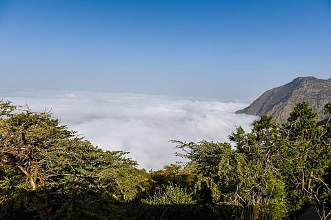 مشاهد تأسر القلوب.. السحب تزحف لقمم جبال السروات بالنماص