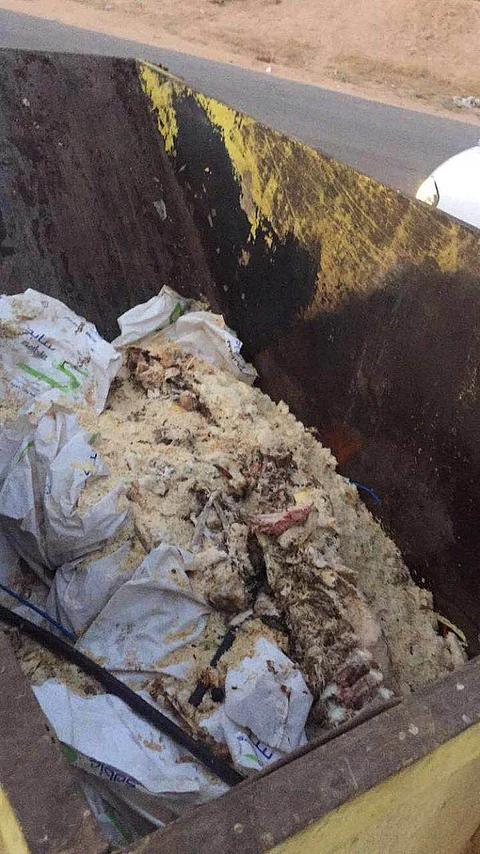 بالفيديو.. عمال مطعم شهير في "وادي الدواسر" يرمون 30 ذبيحة بحاوية نظافة