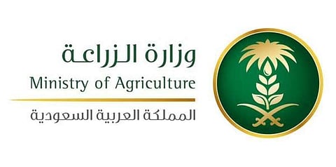 حظر صيد "الإستاكوزا" لمدة تسعة أشهر.. قَصرها على السعوديين فقط