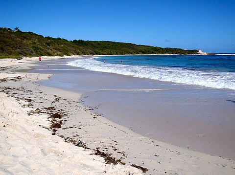 العثور على جثمان طفلة فُقذت على شاطئ "نصف القمر" بالخبر