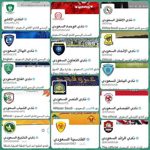 رابطة دوري المحترفين توثق حسابات أندية "جميل" على "تويتر"