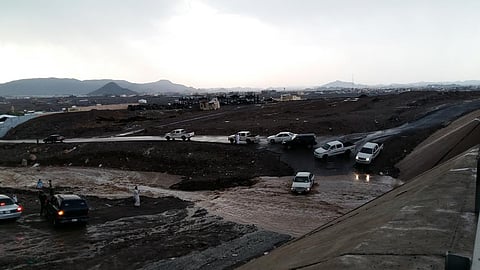 شباب يجازفون بعبور مجاري الأودية بالمدينة المنورة