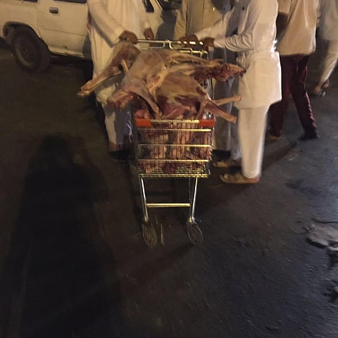 مكة.. مصادرة 50 رأساً من الأغنام غير الصالحة وإزالة حظائر بالشوقية