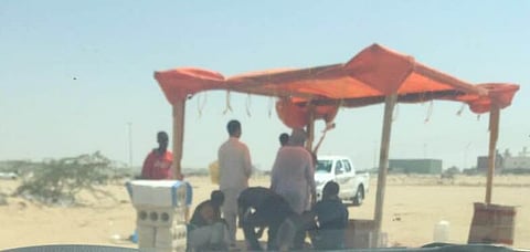 شاهد: مجهولون بجدة يضربون بالأنظمة عرض الحائط.. "مسالخ في الهواء الطلق"