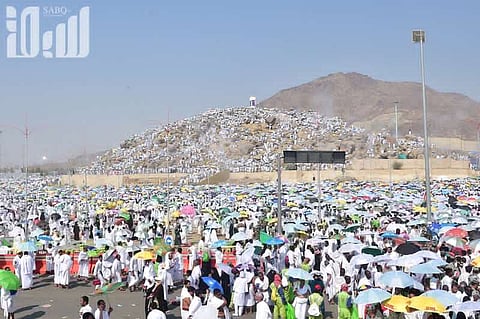 "حج وبيع مساويك".. مَثل شعبي تُزامله "قرون البقر".. و"ثمانيني" يروي التفاصيل