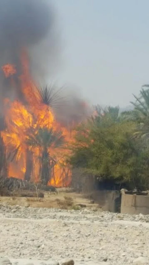 اندلاع حريق بمزارع نخيل القوباء ببيشة