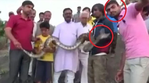 بالفيديو.. ثعبان يهاجم هندياً أثناء التقاط صورة سيلفي معه