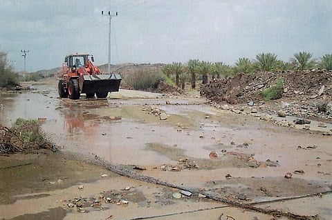 أمانة الطائف تجفّف 85 مستنقعاً مائياً وتدعم رش المزارع