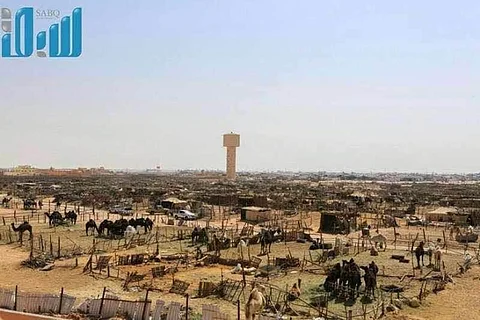 "بلدية الدواسر" تؤجل قرعة "سوق المواشي" ورئيسها يكشف التفاصيل لـ"سبق"