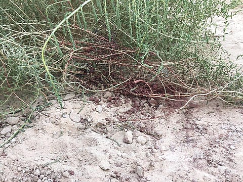 اعترافات "قاتلة طفلة الأحساء".. استأذنتْ لها ونحرَتْها بأرض فضاء بلباسها الوردي