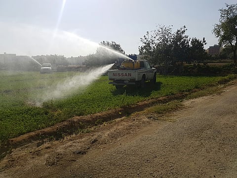 حالتان جديدتان لـ"حمى الضنك" بـ"جبرا والردف" ومطالب بتكثيف الرش بالطائف