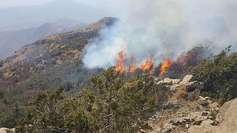 إخماد حريق ضخم في منطقة جبلية وعرة بالنماص.. شرارته كانت عبث مجهولين