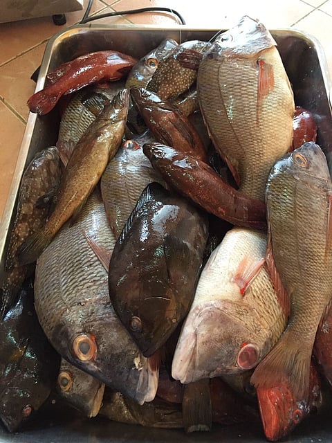 "بلدية قلوة" بالباحة تصادر كميات من اللحوم الفاسدة وتغرم 26 محلاً