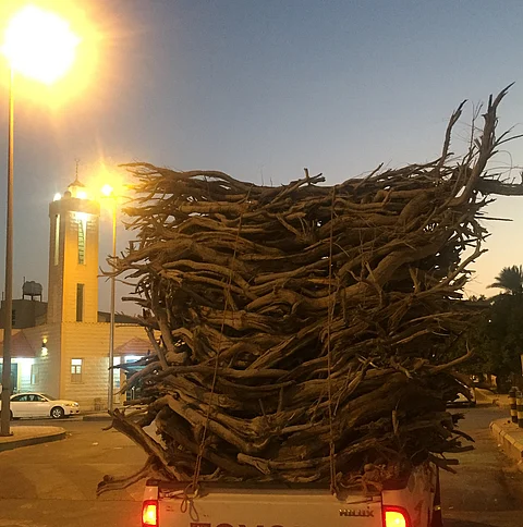 الجوف.. دخول موسم الأمطار والبرد يزيد الطلب على حطب الغضا