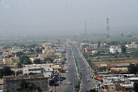 مقذوفات الحوثي تتسبب في نفوق أغنام بالحرث