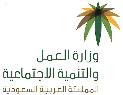 35 ألف مخالفة رصدها مفتشو "العمل" العام الماضي