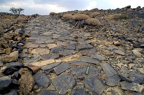 "أبها" عاصمة السياحة العربية 2017 لهذه الأسباب