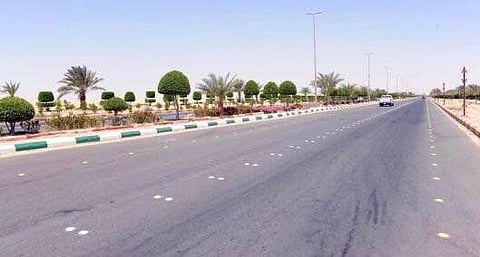 نجران.. الحشرات والذباب تُحاصر أهالي خباش.. وغياب الرقابة يفاقم المخاطر