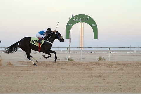 الجعفري يكرم الفائز بسباقات ميدان الفروسية بالأحساء