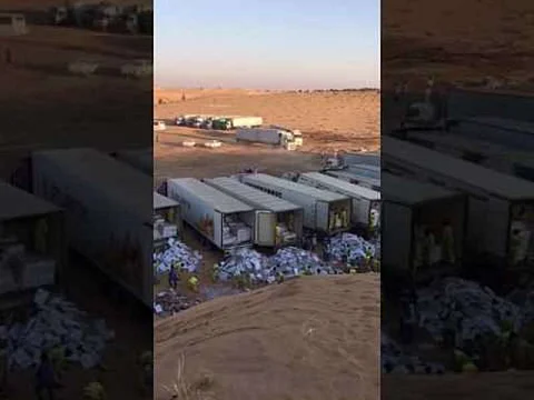 "دواجن الوطنية" عن فيديو "الشاحنات": كدّسها التاجر وسنُقاضي المسيء