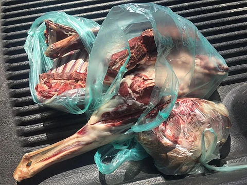 البلدية تصادر وتتلف كميات من اللحوم و"الكروش" الفاسدة بمطاعم ومحال "ميسان"